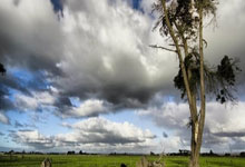 [法甲]新赛季开赛 巴黎圣日耳曼取得开门红.