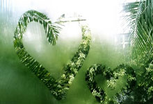 爱游戏：[网球]张帅搭档亚历山德罗娃晋级八强.